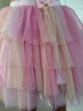 Angels Face Fairy Rainbow Tutu